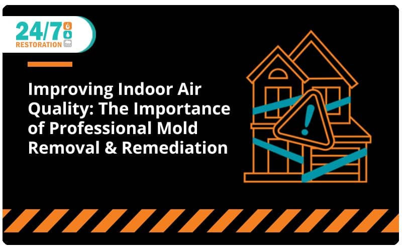 Improving Indoor Air Quality: The Importance of Professional Mold Removal & Remediation